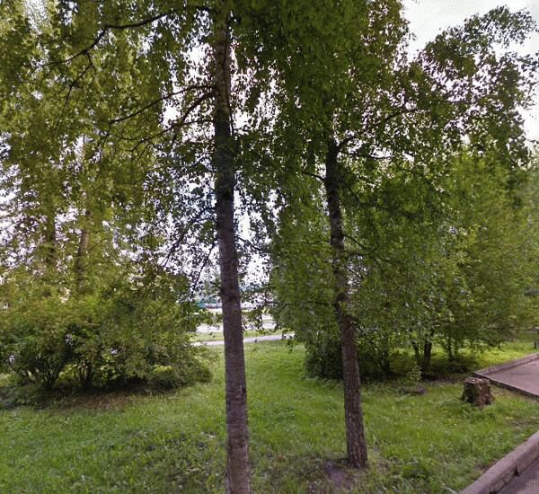 Банкомат Сбербанка России по адресу ул. Попова,  д. 5